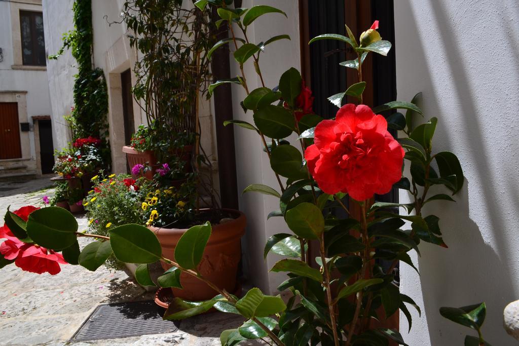Santo Stefano Bed and Breakfast Putignano Εξωτερικό φωτογραφία